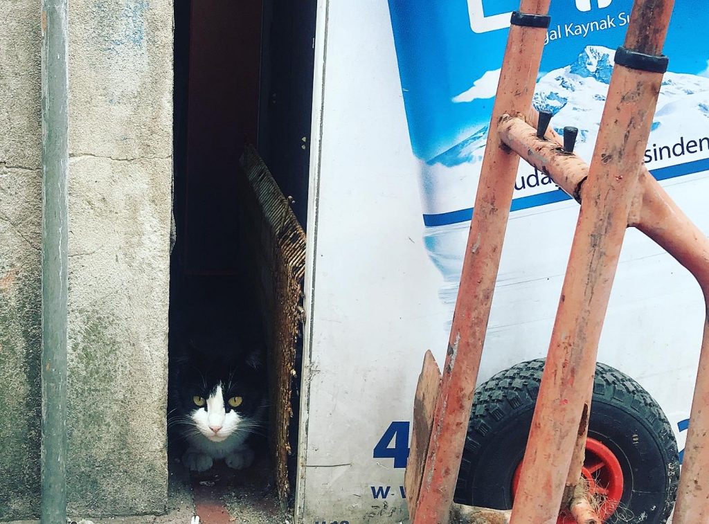 Ailecek Geziyoruz