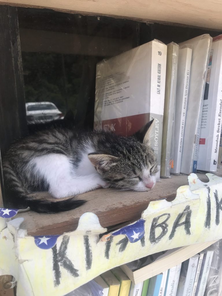 Ailecek Geziyoruz